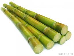National Crop sugarcane