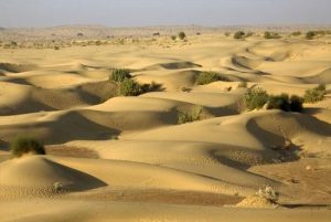 The Thar Desert is in Which Province of Pakistan
